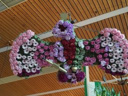 Schützenfestsonntag 2019