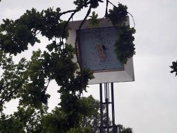 Vogelschießen 2019