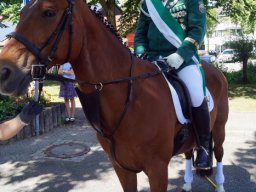 Schützenfestsonntag 2022